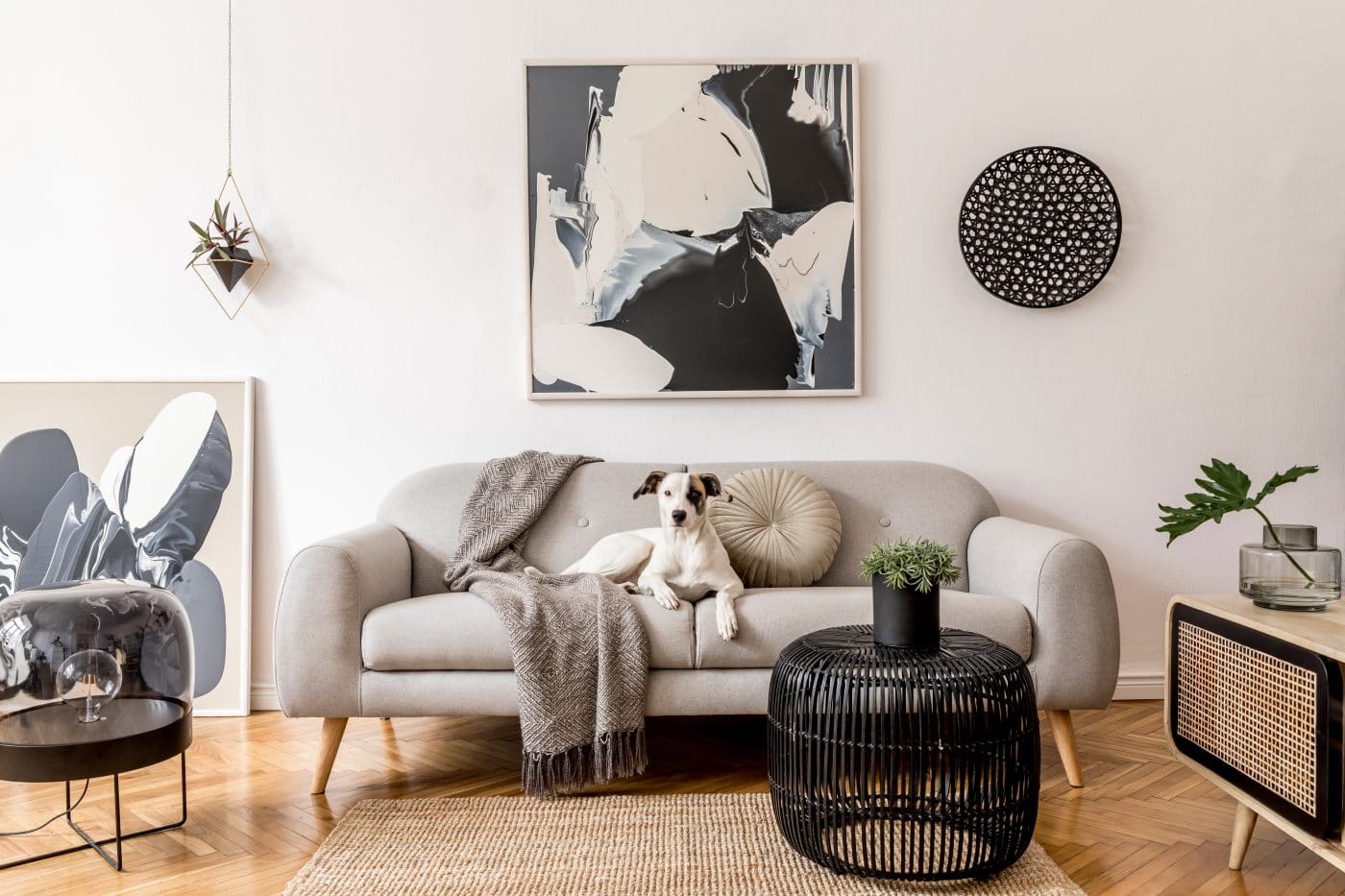 aprende como escoger el sofá perfecto para tu sala