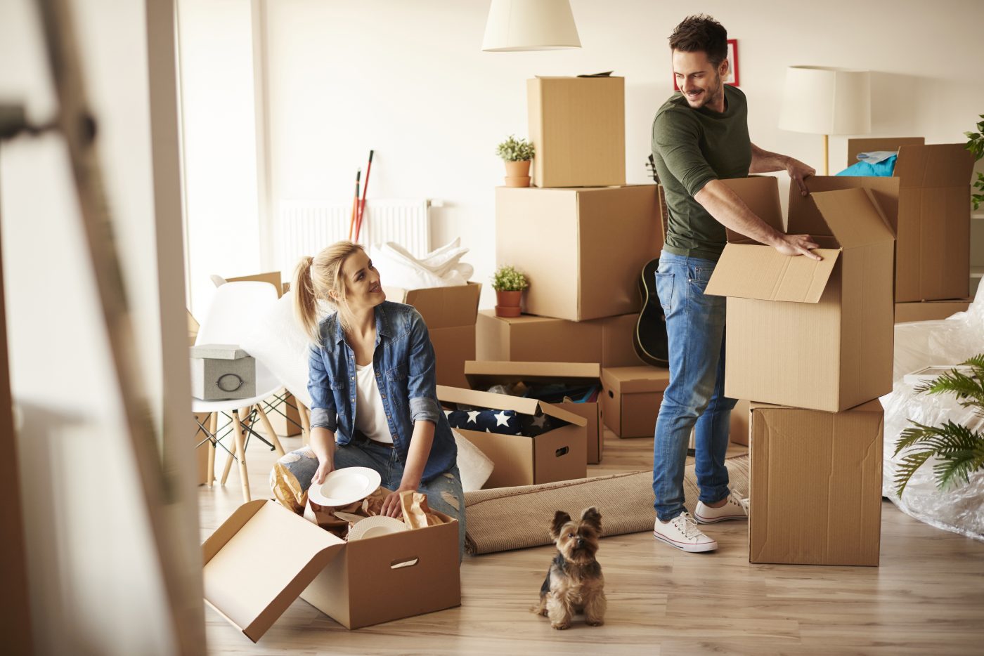 consejos para tener una mascota en un apartamento compartido