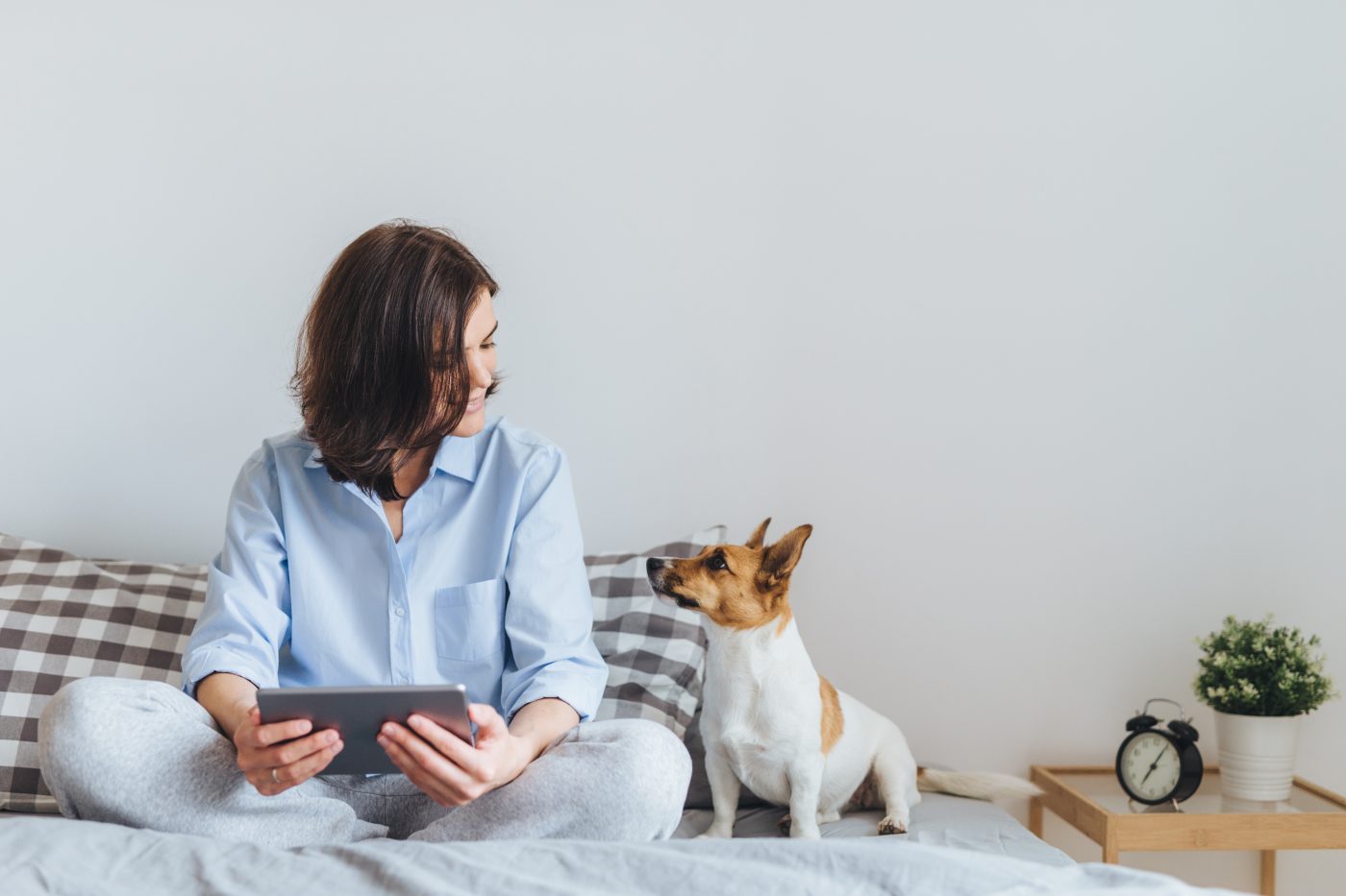 vivir-con-mascostas-en-apartamento