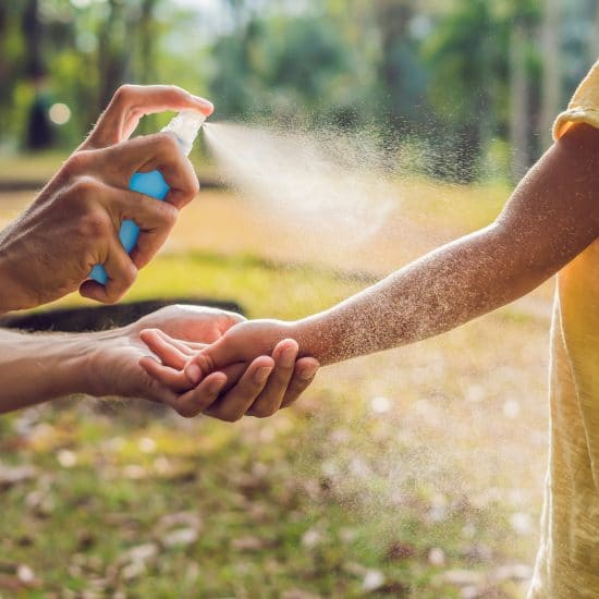 Cómo vivir sin mosquitos
