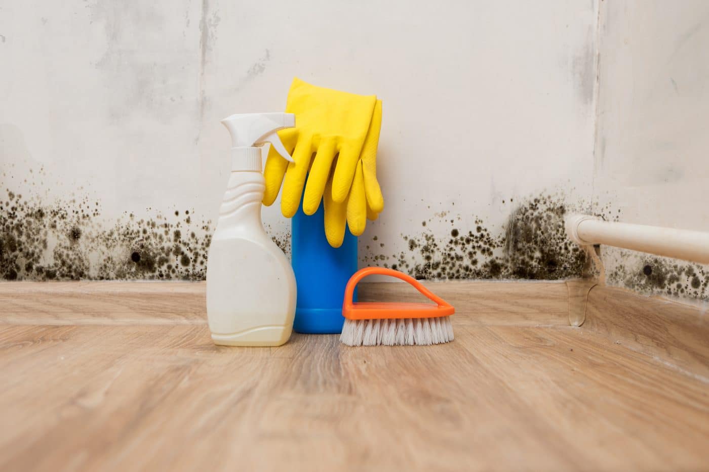 prevenir-el-moho-en-vivienda