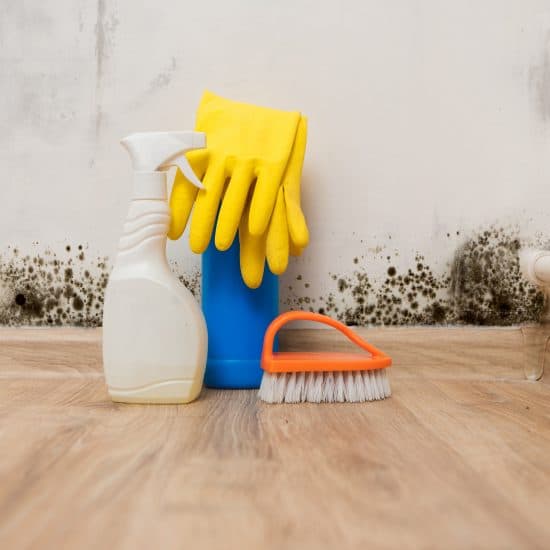 prevenir-el-moho-en-vivienda