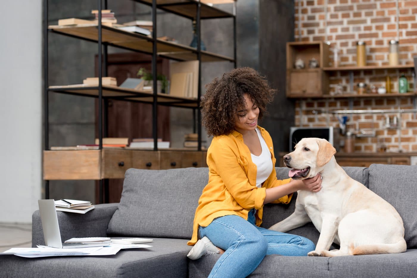 vivir-con-mascostas-en-apartamento