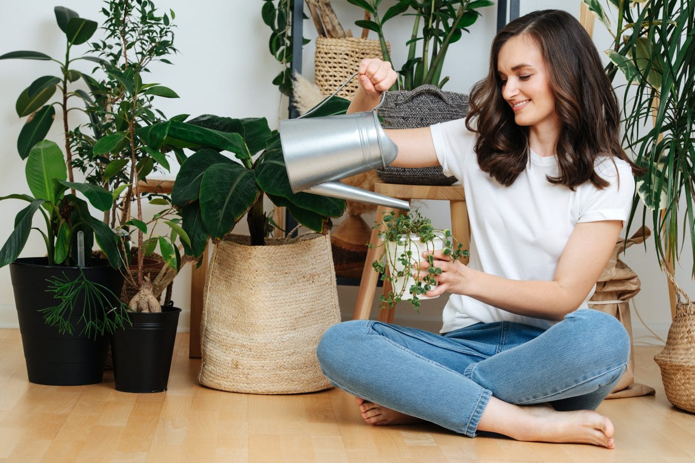 decorar-casa-con-plantas