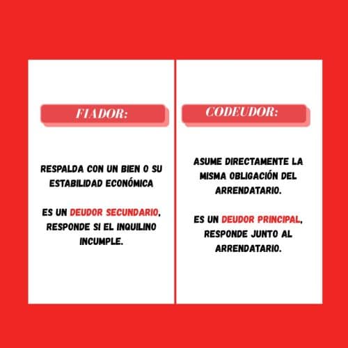 Diferencia entre fiador y codeudor en Colombia
