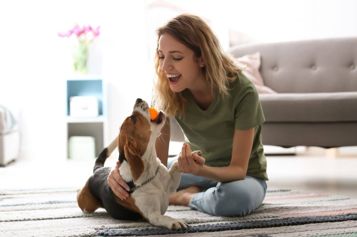 adaptar-perro-al-hogar