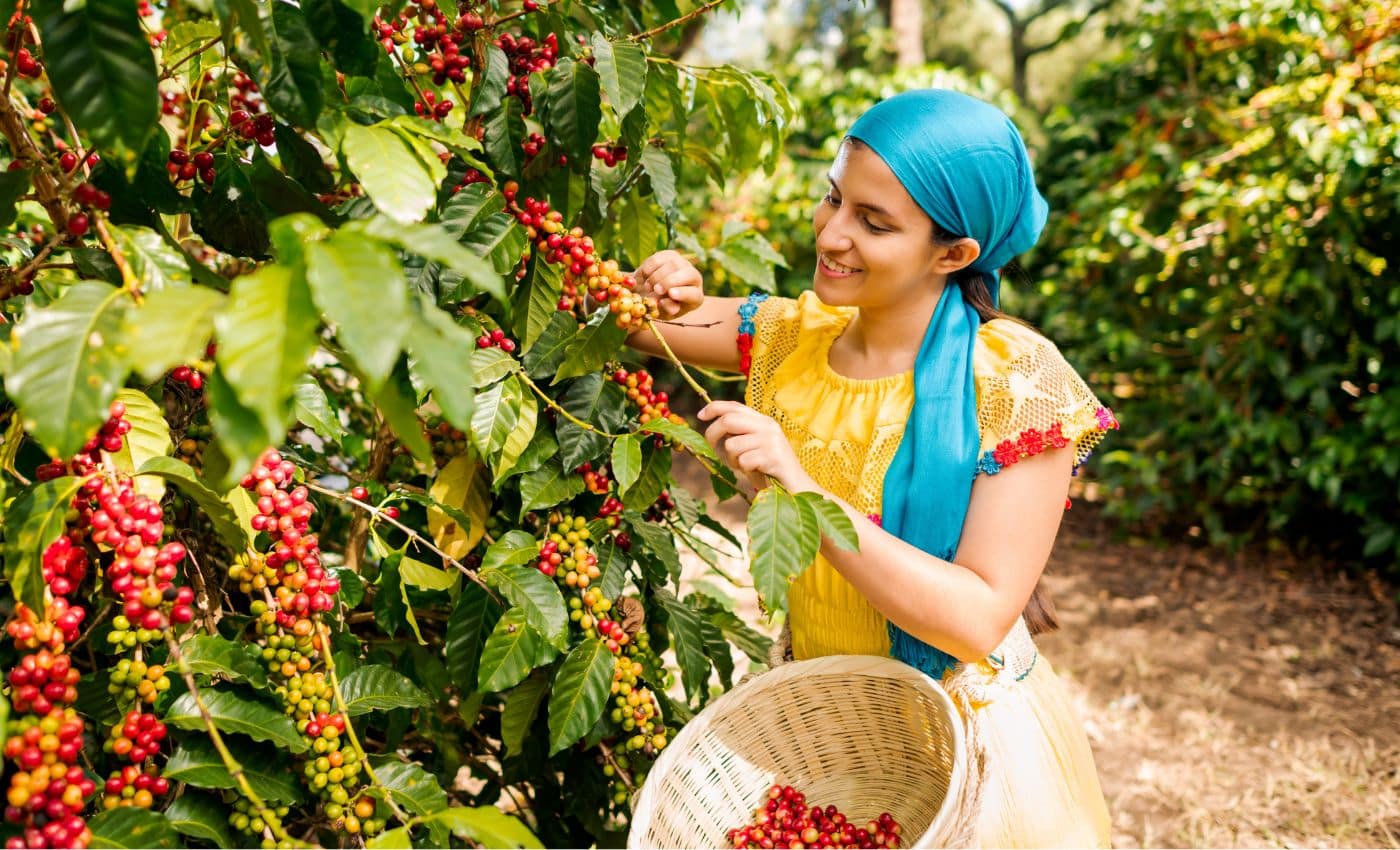 Pereira, zona cafetera de Colombia
