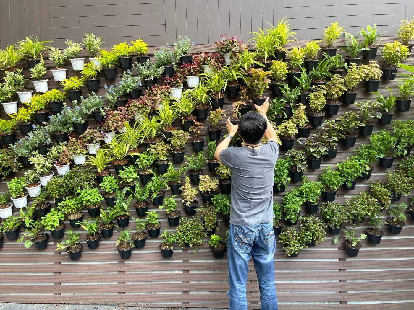 crear-jardin-vertical