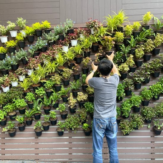 crear-jardin-vertical
