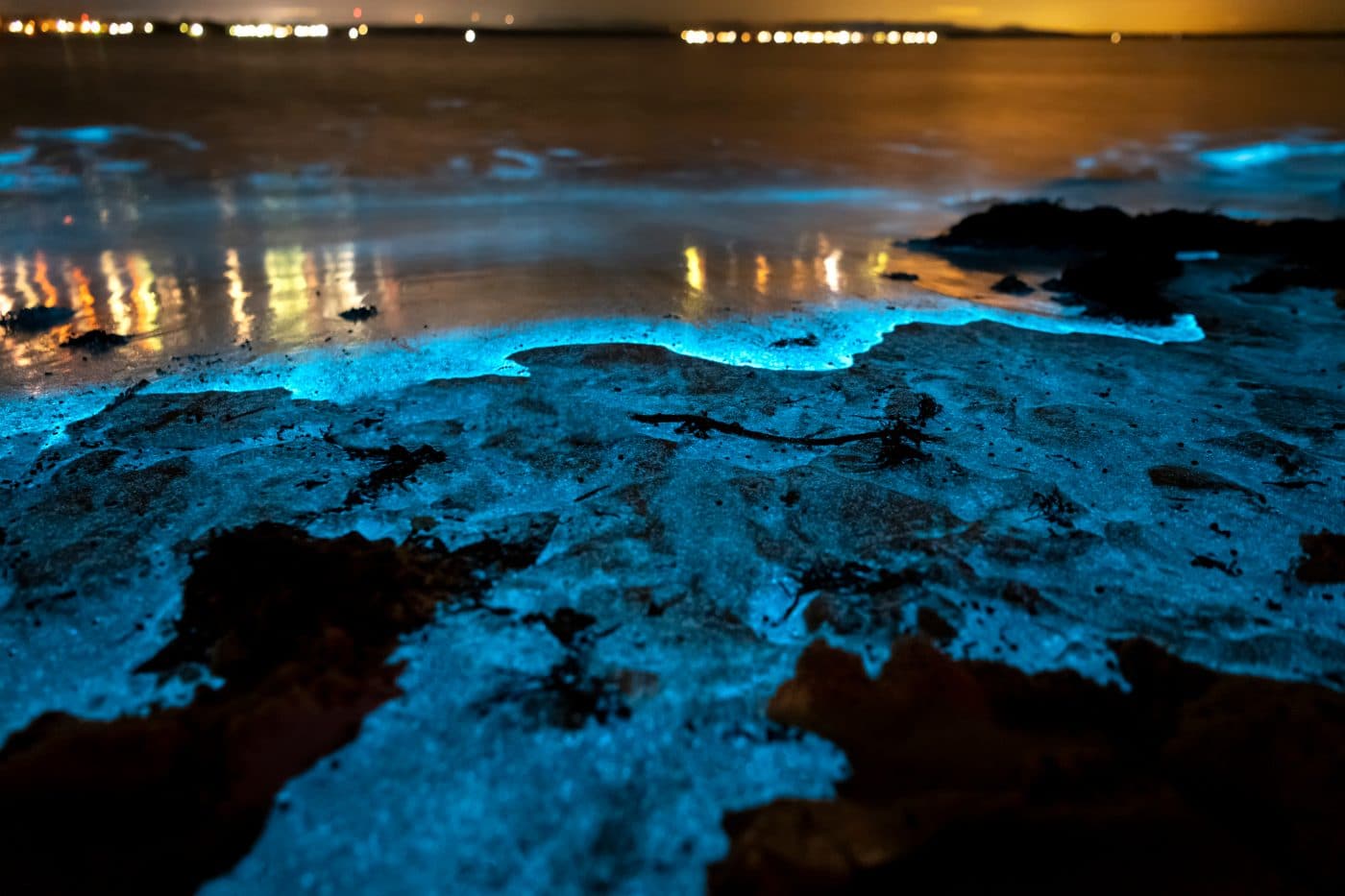 Cuáles son las playas bioluminiscentes de Colombia