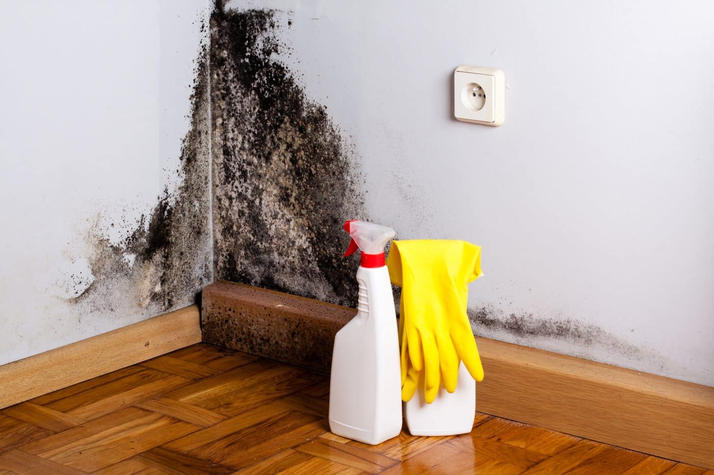 problemas-de-salubridad-hogar