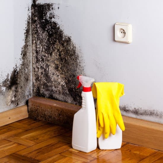problemas-de-salubridad-hogar