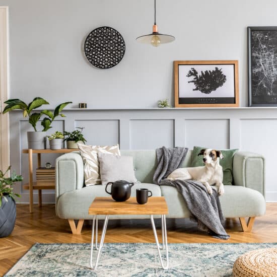 decorar-la-sala-de-una-vivienda