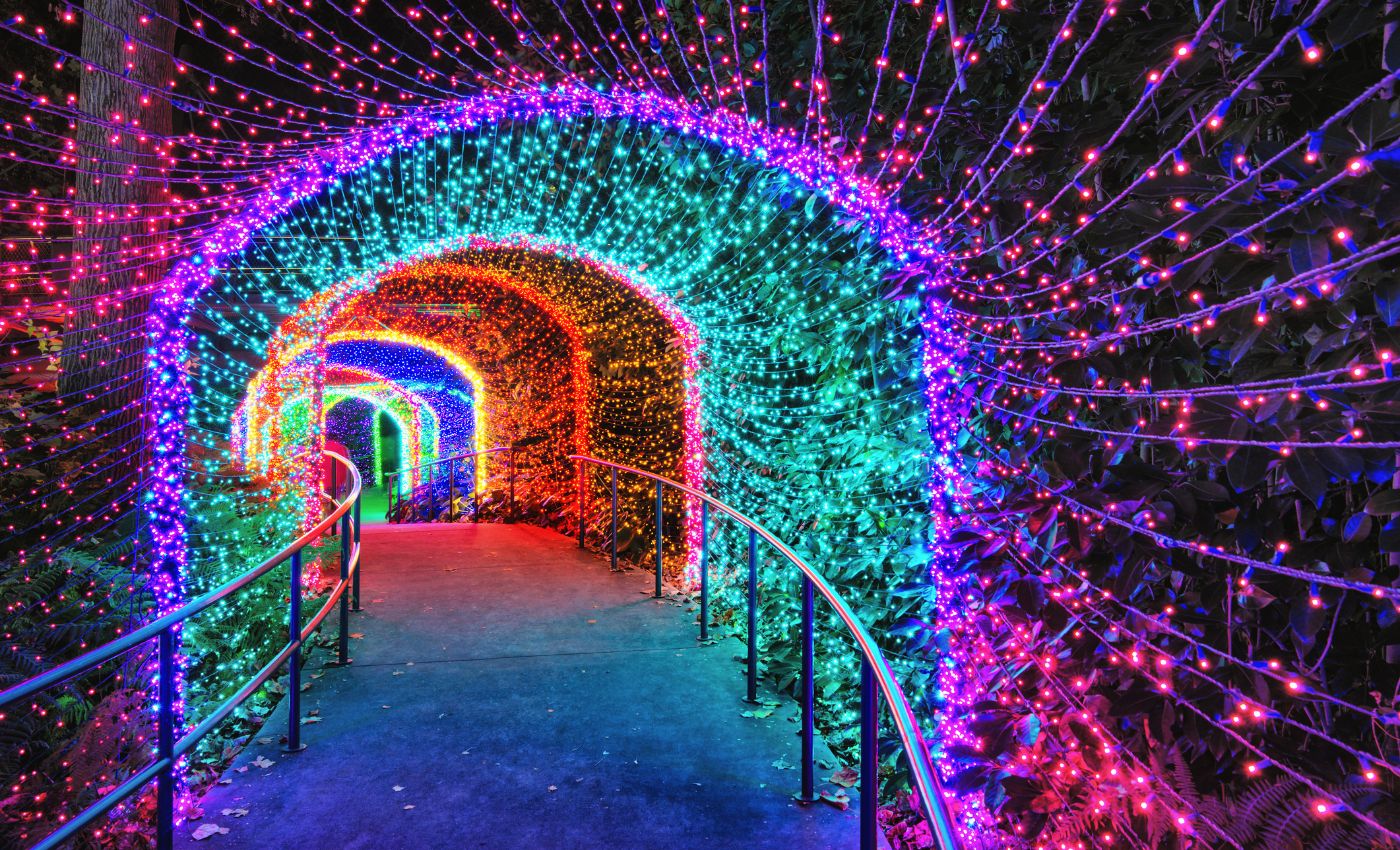 Actividades cerca de Normandía, Jardín Botánico en Navidad
