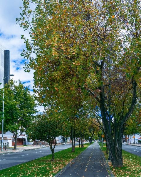 Calles del barrio Normandía (Imagen representativa)