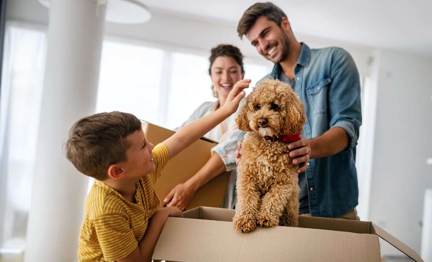 Derechos y deberes con tu mascota