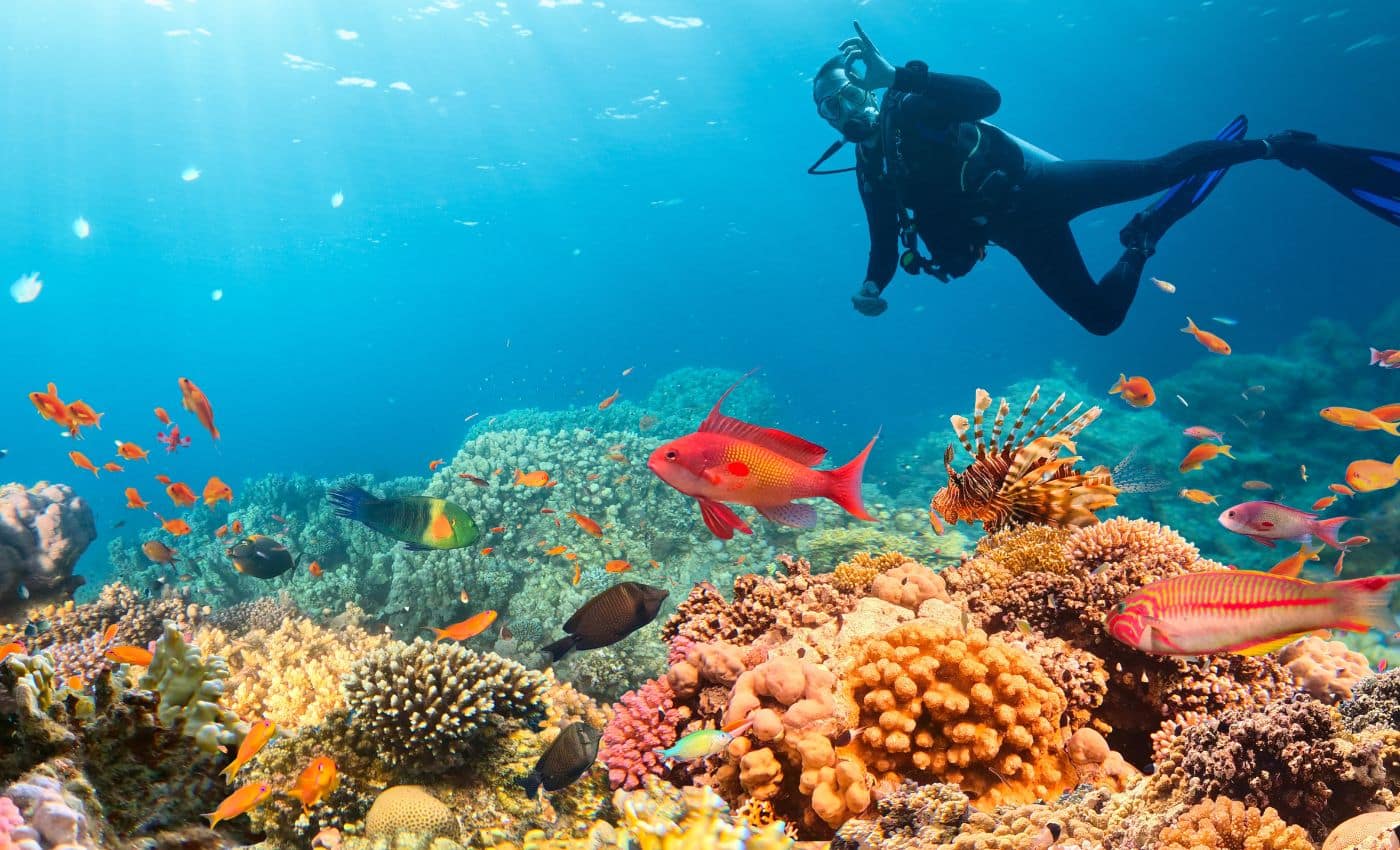 Sitios imperdibles para visitar en San Andrés Lugares infaltables para visitar en San Andrés