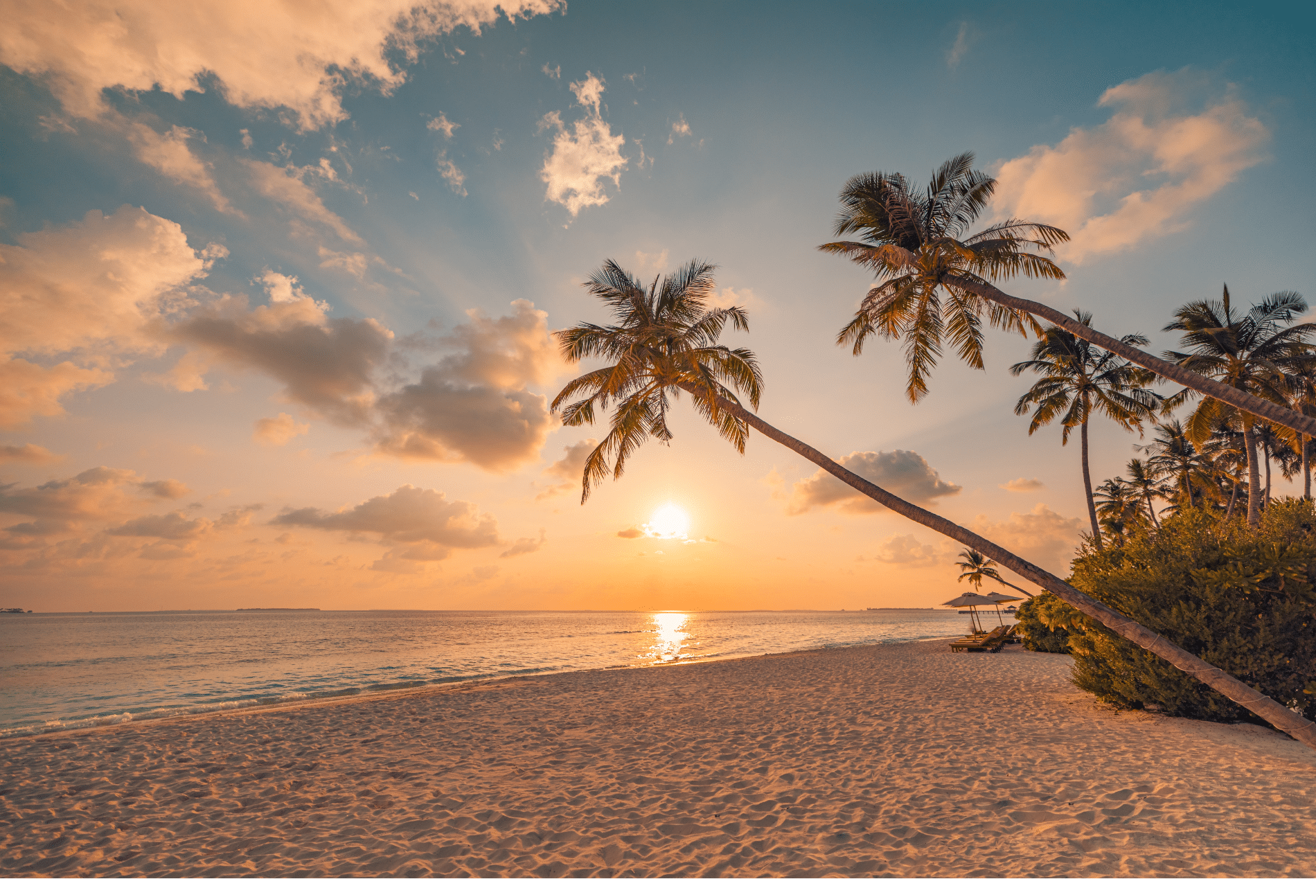 Conoce las playas más destacadas de Cartagena